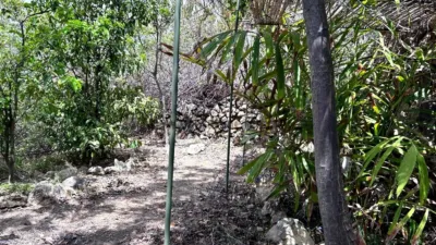 Finca rústica en venta en Vallehermoso, Vallehermoso de 379.000 €