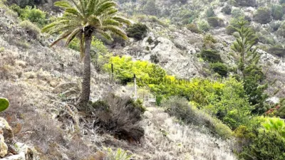 Finca rústica en venta en Vallehermoso, Vallehermoso de 379.000 €