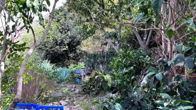 Finca rústica en venta en Vallehermoso, Vallehermoso de 379.000 €