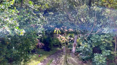 Finca rústica en venta en Vallehermoso, Vallehermoso de 379.000 €