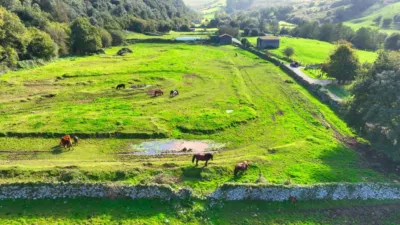 Rustic Finca on Calle Iseca Nueva photo 17