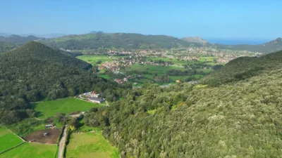Rustic Finca on Calle Iseca Nueva photo 18