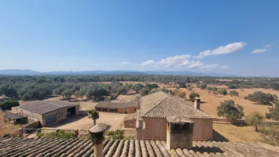 Chalet in Son Gual photo 12