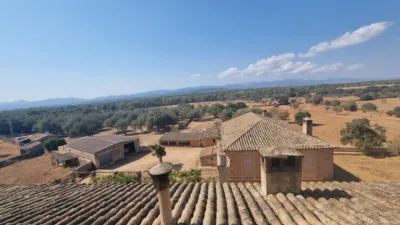 Chalet in Son Gual photo 13