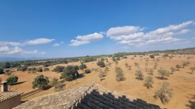 Chalet in Son Gual photo 15