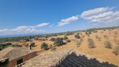 Chalet in Son Gual photo 16