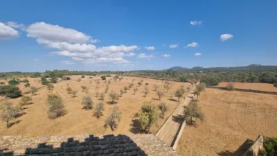 Chalet in Son Gual photo 17