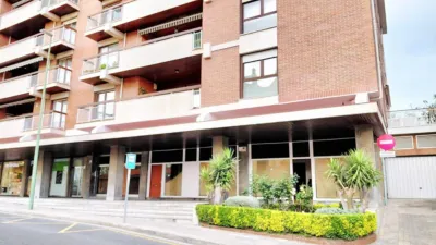 Apartment in Calle de Algorta photo 20