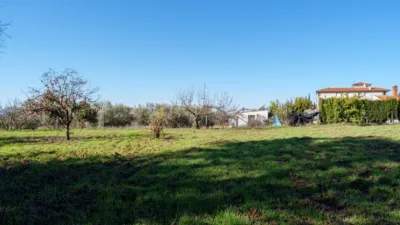 Rustic Farmhouse on Fuensanta Road photo 2