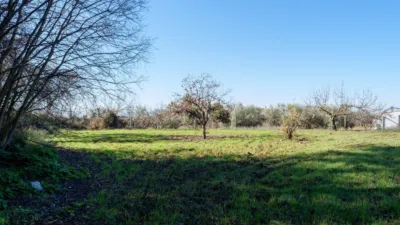 Rustic Farmhouse on Fuensanta Road photo 4
