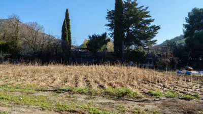 Rustic Farmhouse on Fuensanta Road photo 5