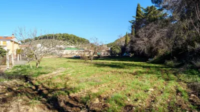 Rustic Farmhouse on Fuensanta Road photo 6