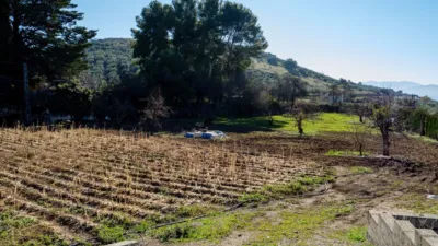 Rustic Farmhouse on Fuensanta Road photo 8