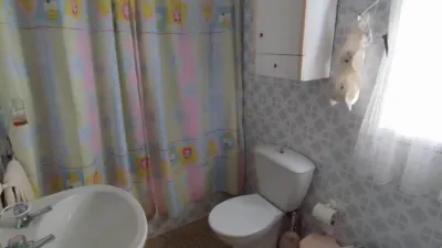 Apartment in Cabra photo 10