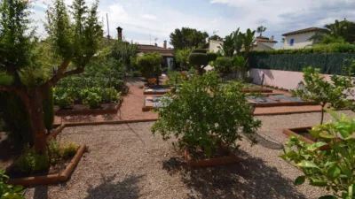 Chalet en Son Serra de Marina photo 16