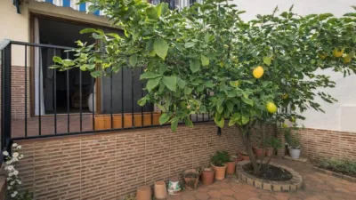 House in Sin Zona photo 25