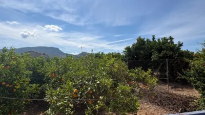 Finca rústica en venta en Urbanitzacions I Pedanies Nord, El Respirall-Santa Maria de Bonaire-El Racó (Alzira) de 150.000 €
