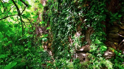 Finca rústica en venta en Calle Polígono 18, Santa Marina-Uxo (Mieres)