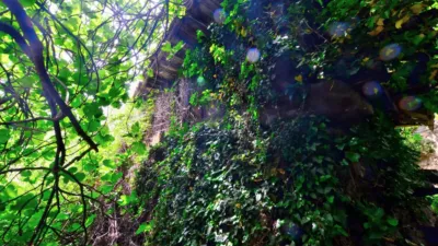 Finca rústica en venta en Calle Polígono 18, Santa Marina-Uxo (Mieres)