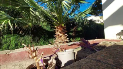 Chalet en alquiler en Granada, Carretera de la Sierra (Distrito Genil. Granada Capital) de 1.500 €<span>/mes</span>