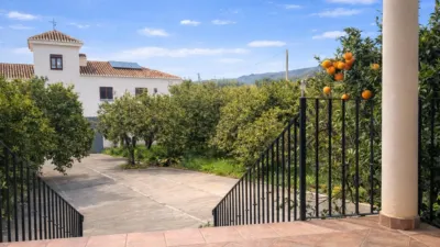 Rustic Finca in Melegís photo 5