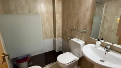 Studio in Juan Carlos I Zone photo 5