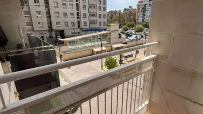 Studio in Juan Carlos I Zone photo 8