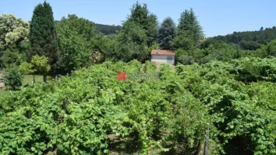 Chalet on Calle Lugar O Carballo photo 16