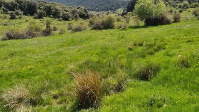 Rustic property in Navas de Riofrio photo 25
