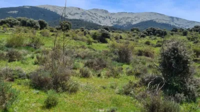 Rustic property in Navas de Riofrio photo 26