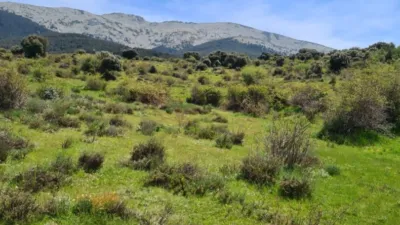 Rustic property in Navas de Riofrio photo 27