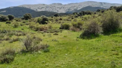 Rustic property in Navas de Riofrio photo 28