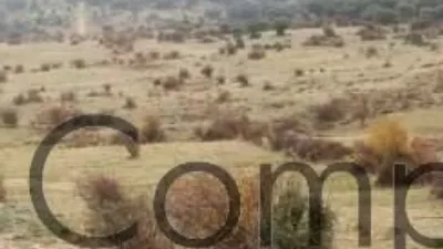 Rustic property in Navas de Riofrio photo 31