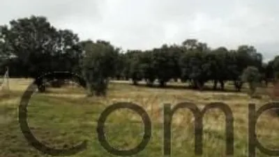 Rustic property in Navas de Riofrio photo 37