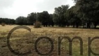 Rustic property in Navas de Riofrio photo 38