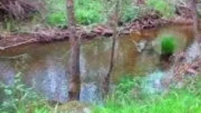 Ático en alquiler en Escobar de Polendos, Escobar de Polendos de 450 €<span>/mes</span>