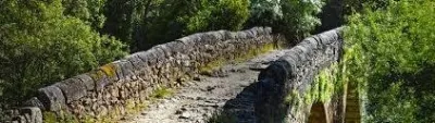 Ático en alquiler en Escobar de Polendos, Escobar de Polendos de 450 €<span>/mes</span>
