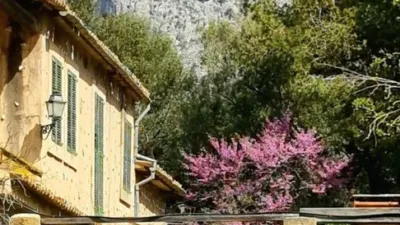 Rustic Finca in Alaró photo 4