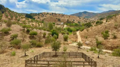 Rustic finca on Diseminados Street photo 22