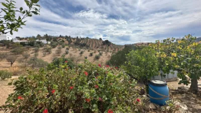 Rustic finca on Diseminados Street photo 23