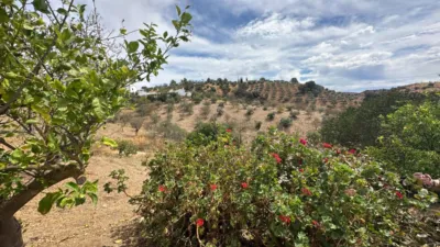 Rustic finca on Diseminados Street photo 24