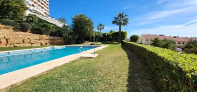 Apartment in Los Pacos photo 24