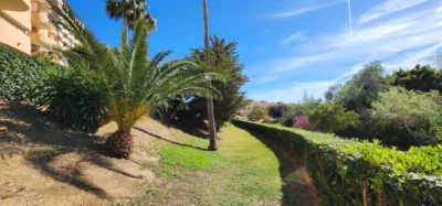 Apartment in Los Pacos photo 26