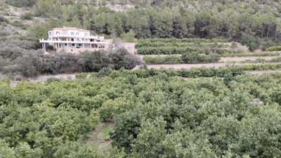 Chalet in Adsubia photo 2