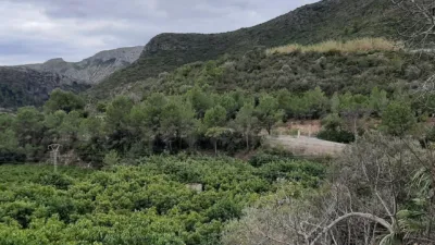 Chalet in Adsubia photo 31