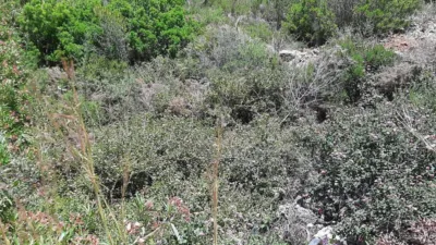 Terreno en venta en A Las Afueras - Vista 4