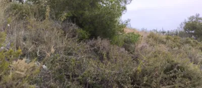 Terreno en venta en Urbanizacion Mustalla - Vista 3