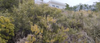 Terreno en venta en Urbanizacion Mustalla - Vista 4