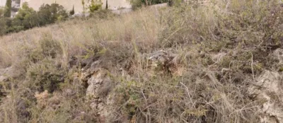 Terreno en venta en Urbanizacion Mustalla - Vista 5