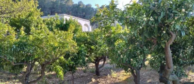 Terreno en venta en Comunidad Valenciana - Vista 5